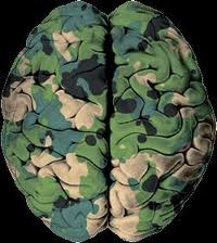 military brain